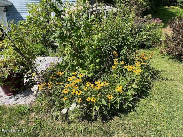 215 Partridge Road Pittsfield, MA 01201 - Photo 6 of 38 a view of a tree with a plant