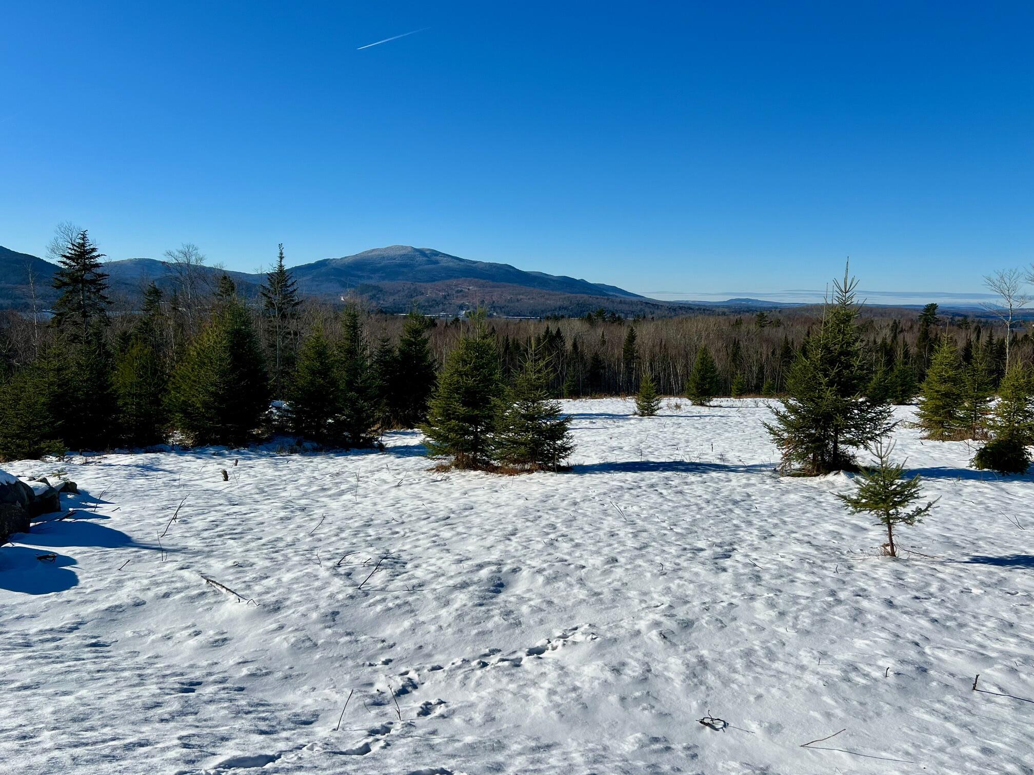 13 Doe Run South Greenville, ME 04441 - Photo 5 of 17 5