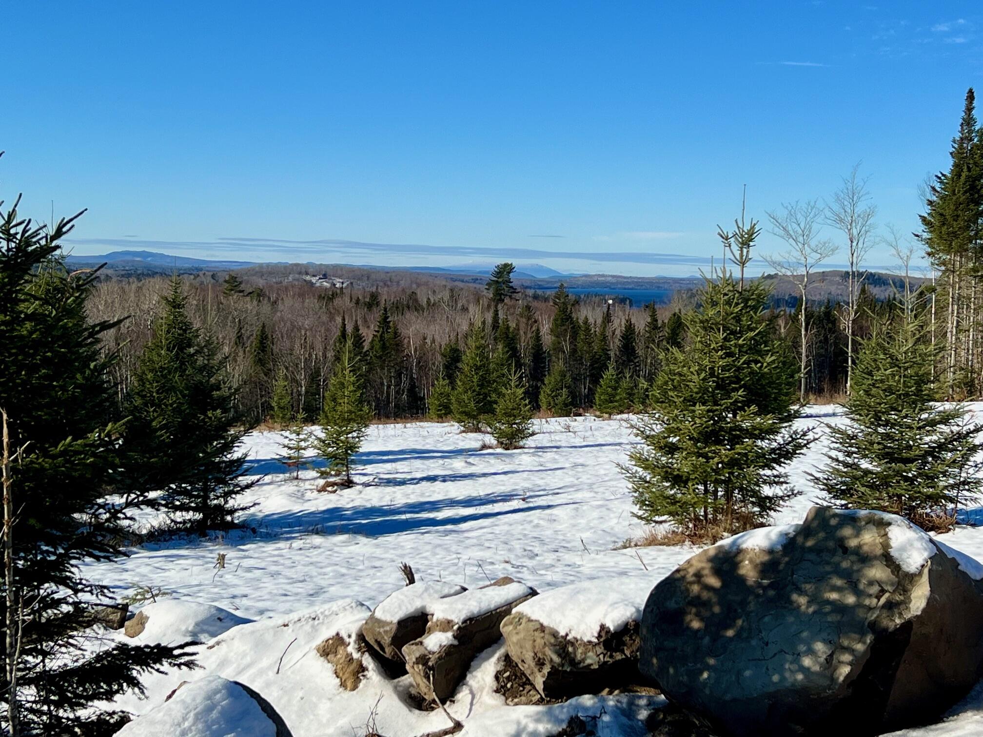 13 Doe Run South Greenville, ME 04441 - Photo 7 of 17 7