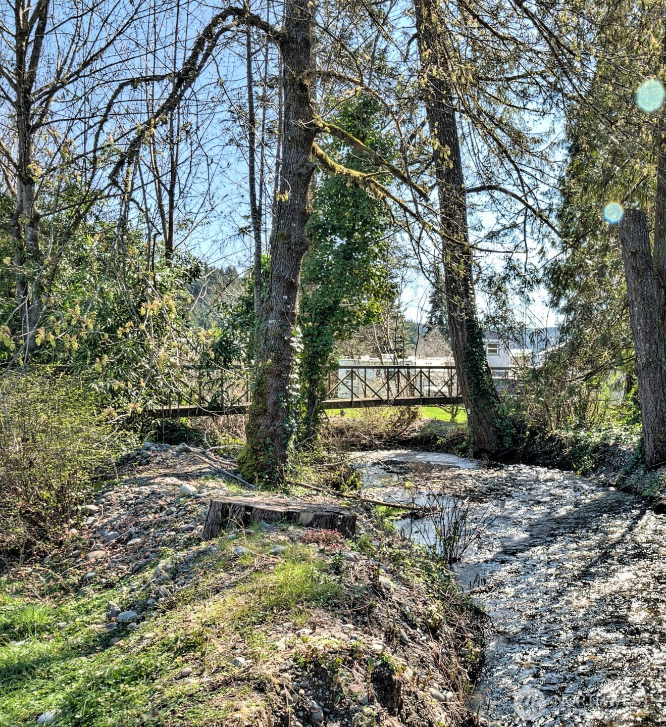 30 Brook Place Tahuya, WA 98588 - Photo 13 of 40 a tree is standing in a yard