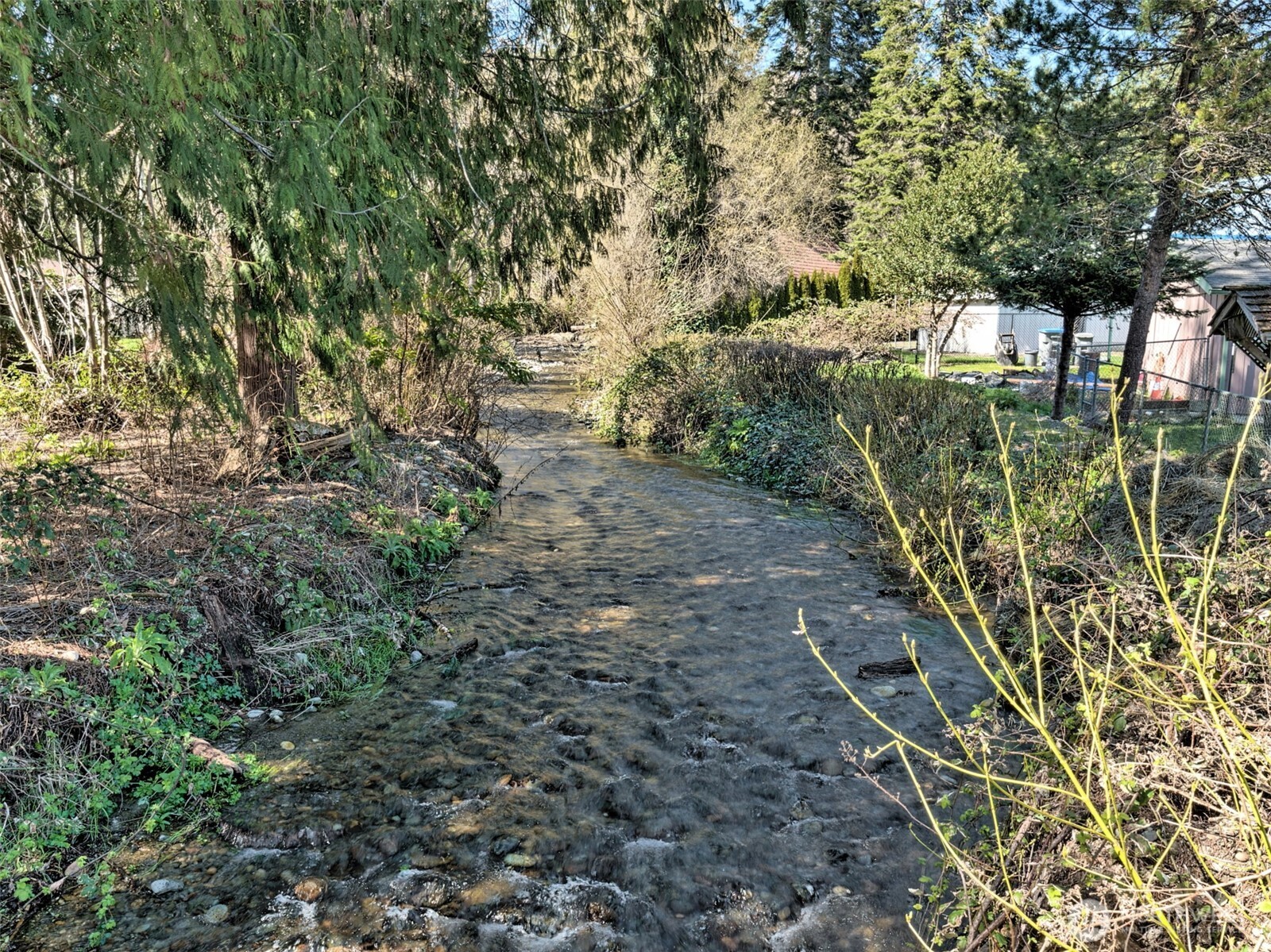 30 Brook Place Tahuya, WA 98588 - Photo 14 of 40 a view of yard
