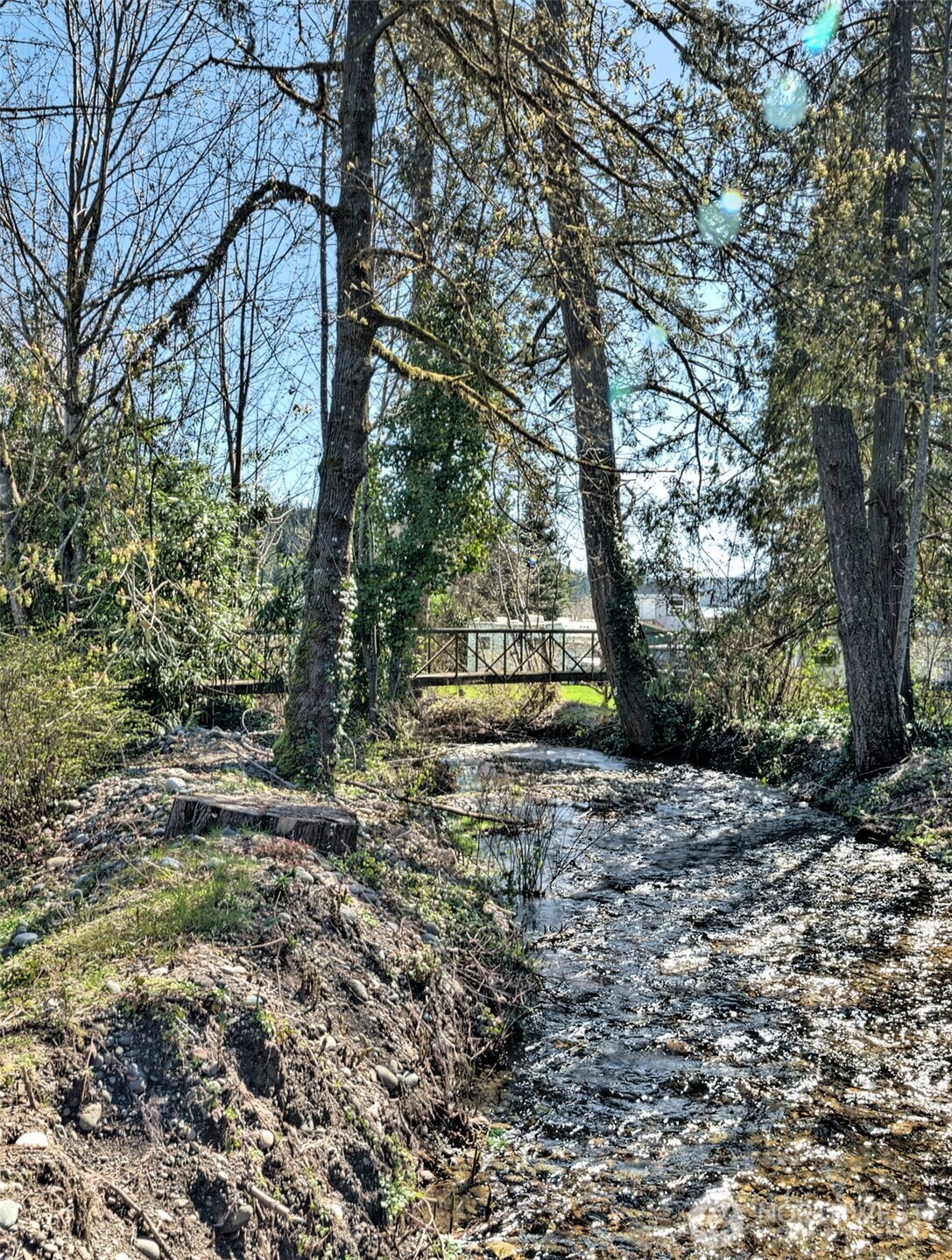 30 Brook Place Tahuya, WA 98588 - Photo 15 of 40 a view of street