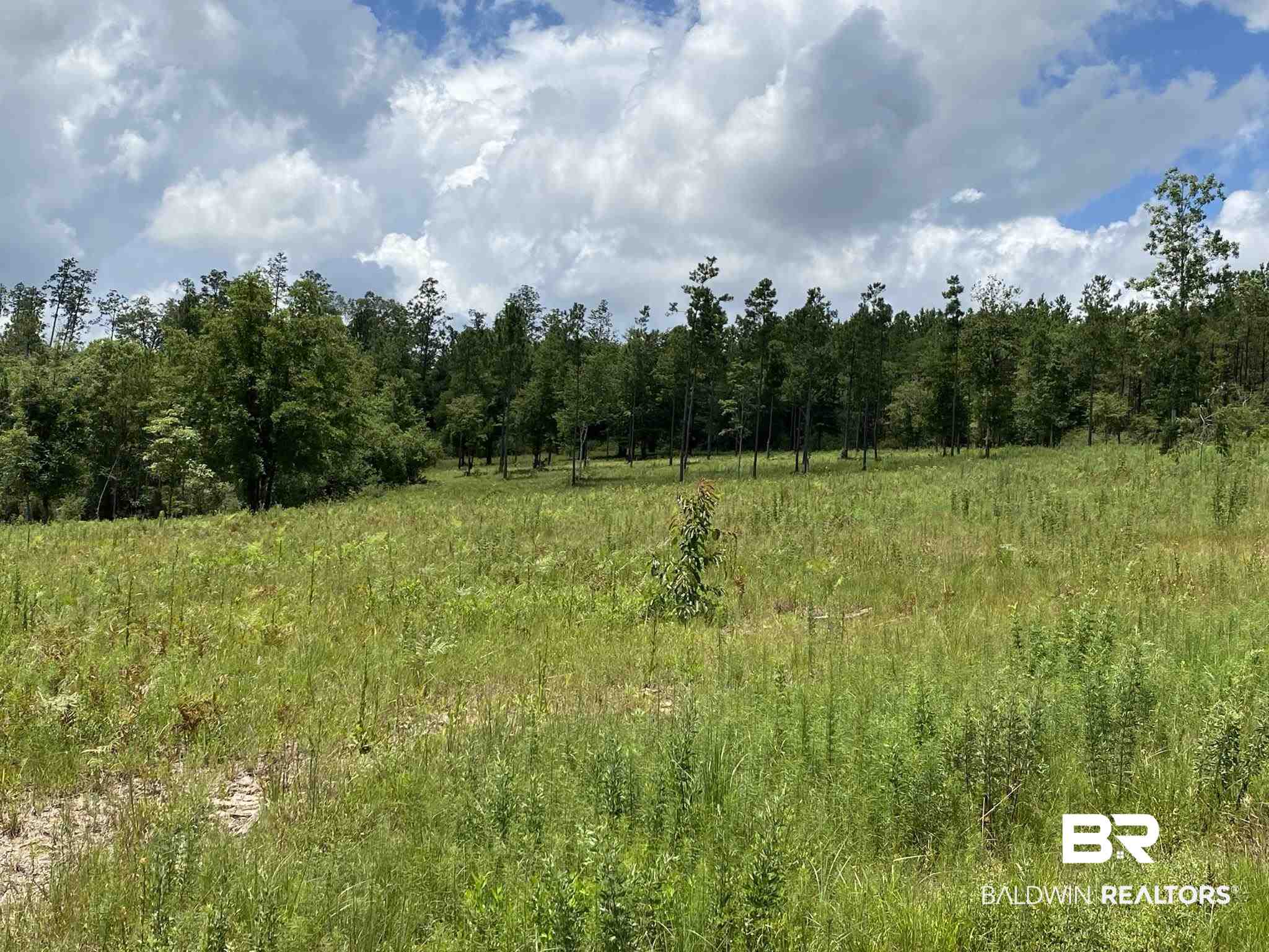 2534 Lewis Road Milton, FL 32570 - Photo 11 of 14 Gallery Image 11