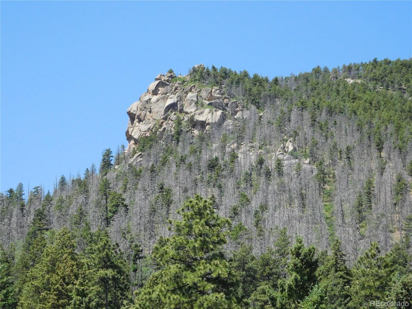 5900 Pawnee Road Larkspur, CO 80118 - Photo 11 of 45 a view of a forest with a mountain in the background