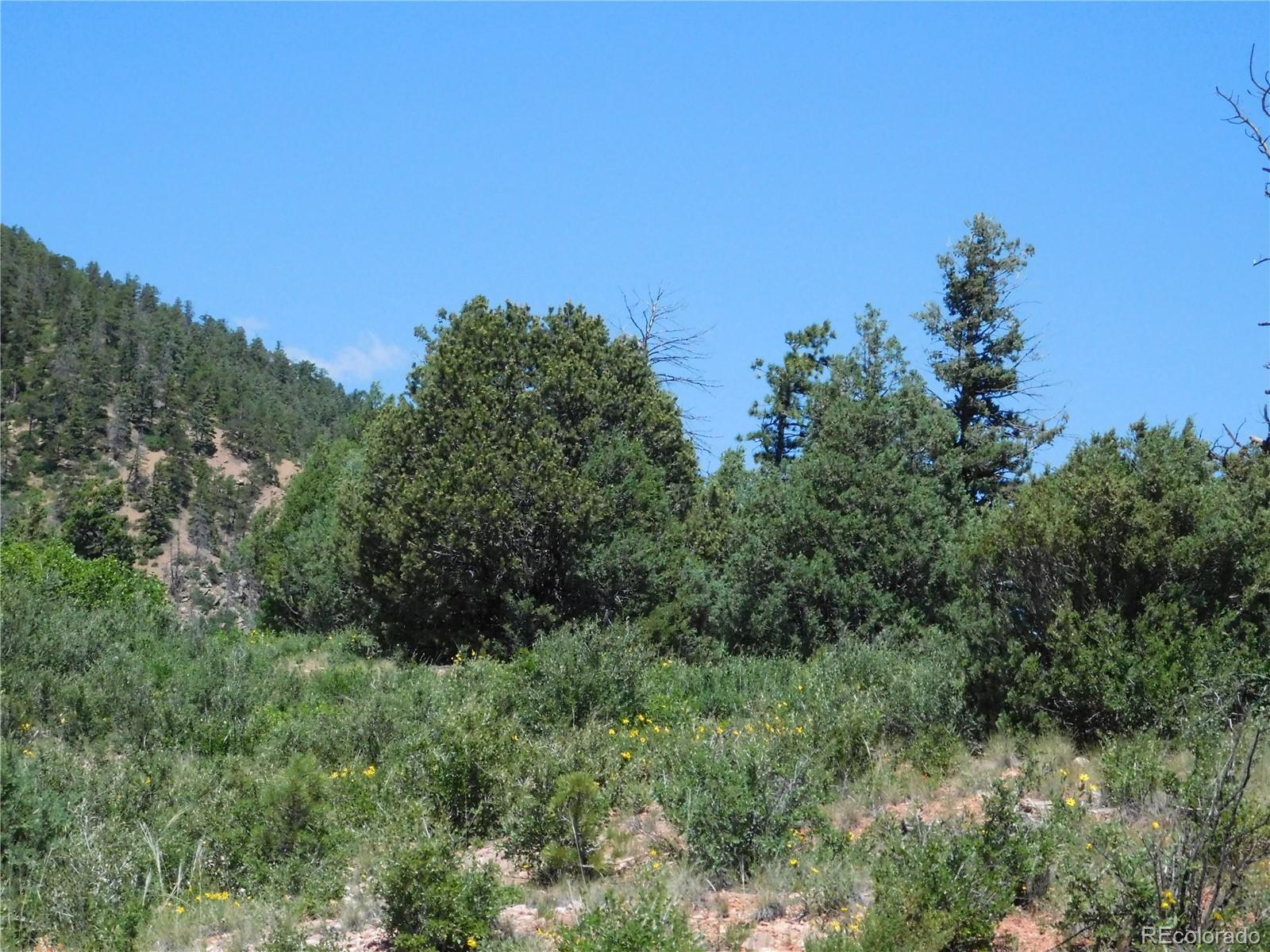 5900 Pawnee Road Larkspur, CO 80118 - Photo 13 of 45 a view of a green field