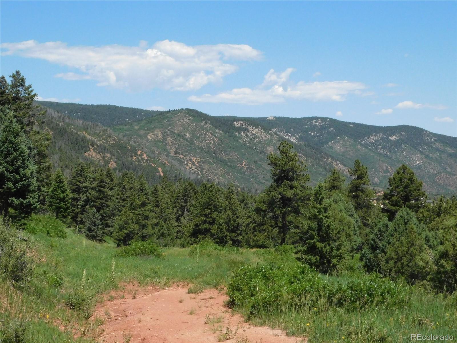 5900 Pawnee Road Larkspur, CO 80118 - Photo 15 of 45 a view of a city with lush green forest