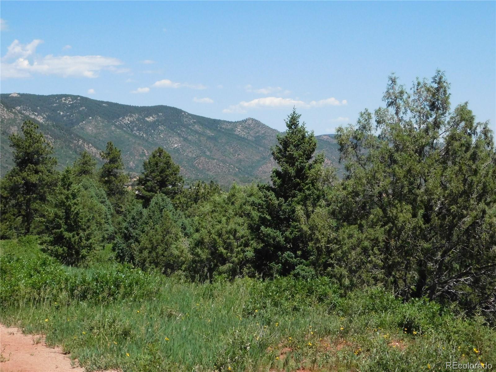5900 Pawnee Road Larkspur, CO 80118 - Photo 16 of 45 a view of a city with lush green forest