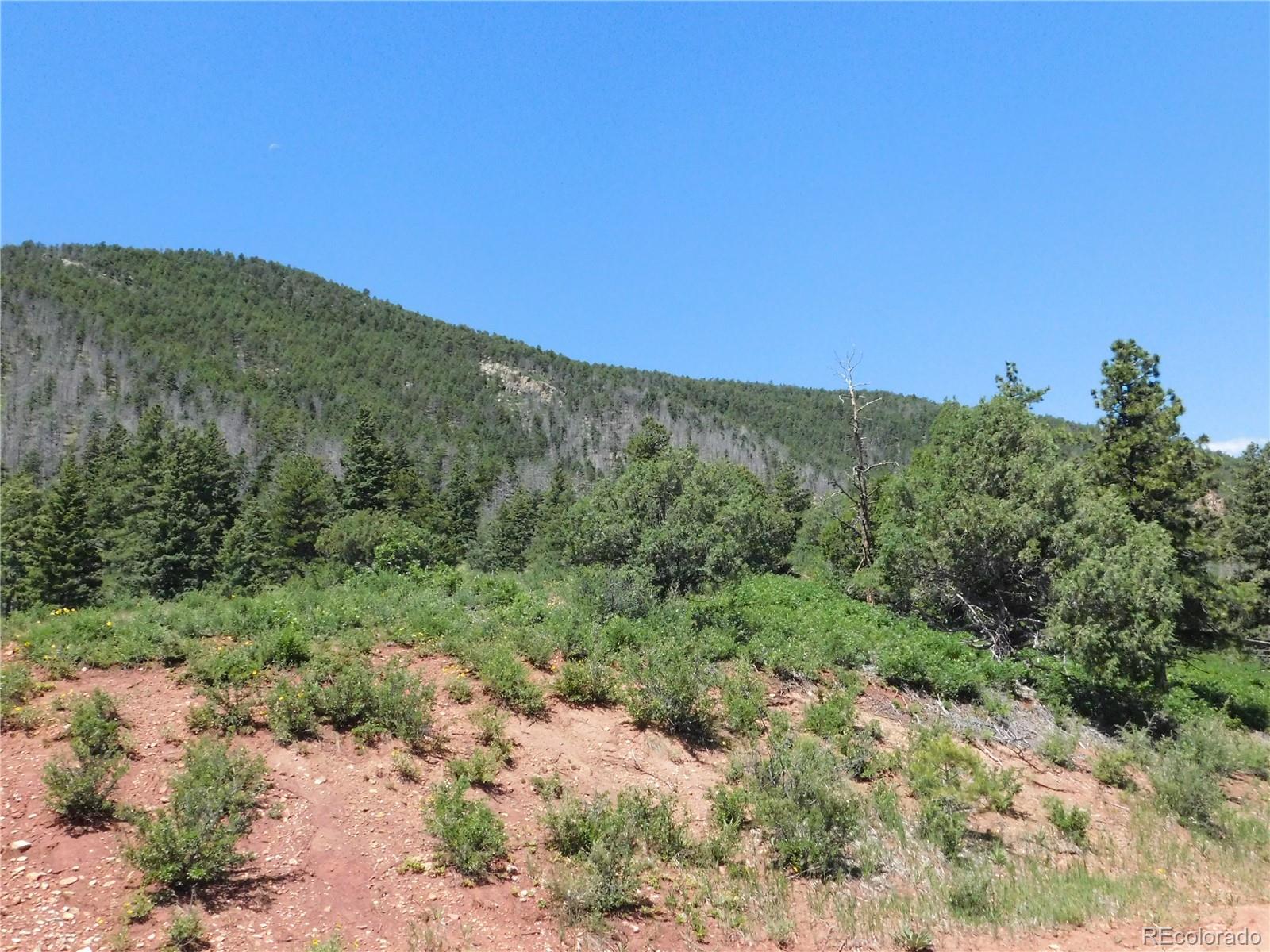 5900 Pawnee Road Larkspur, CO 80118 - Photo 18 of 45 a view of a field