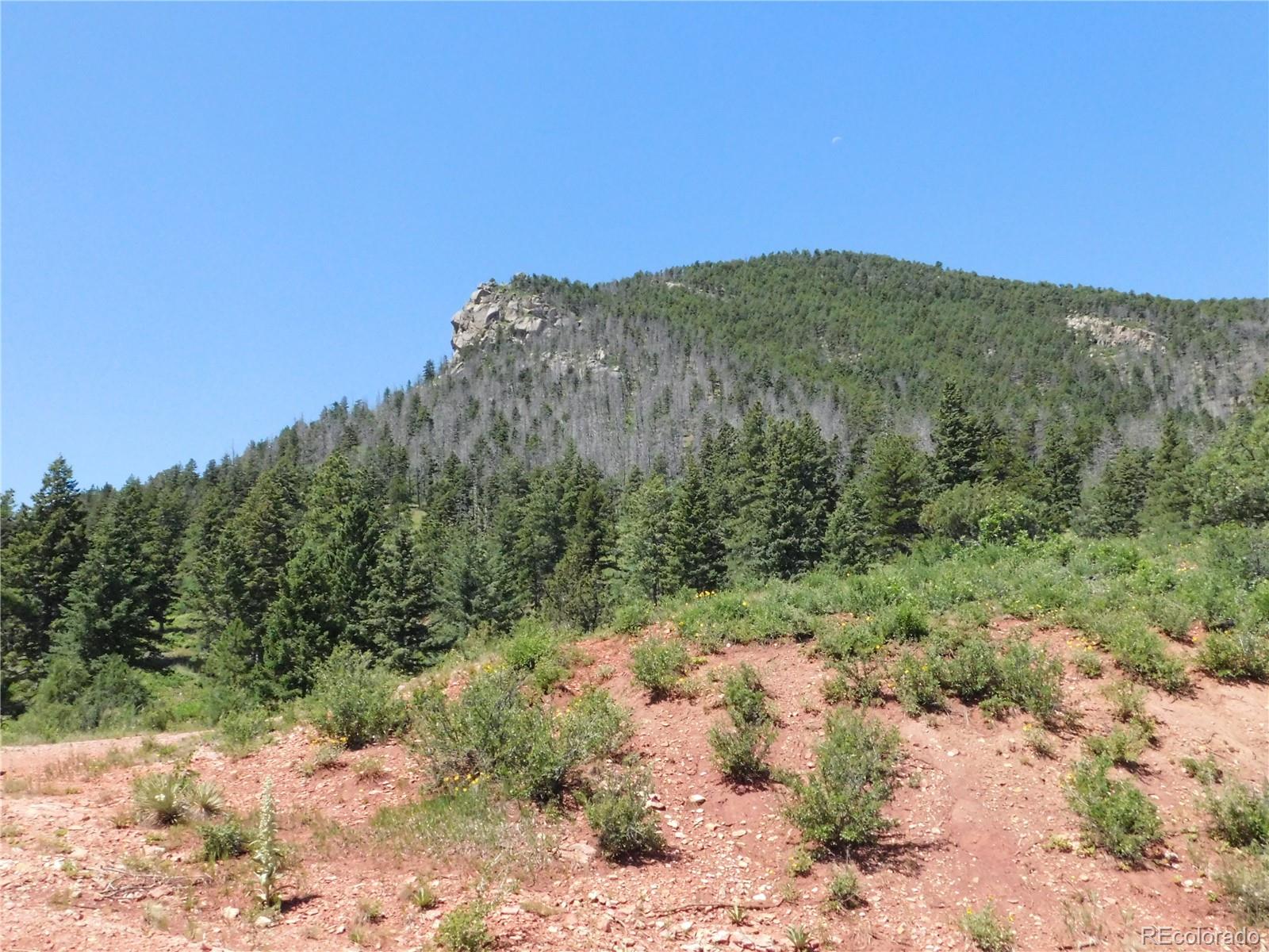 5900 Pawnee Road Larkspur, CO 80118 - Photo 19 of 45 a view of a field