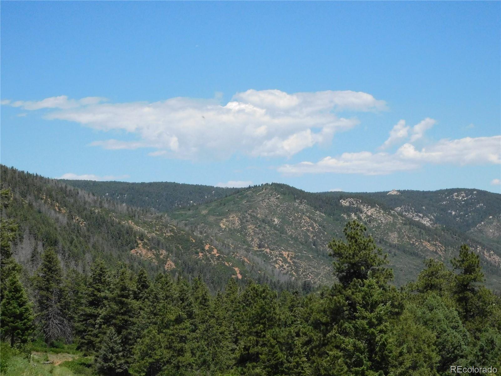 5900 Pawnee Road Larkspur, CO 80118 - Photo 20 of 45 an aerial view of houses covered in trees