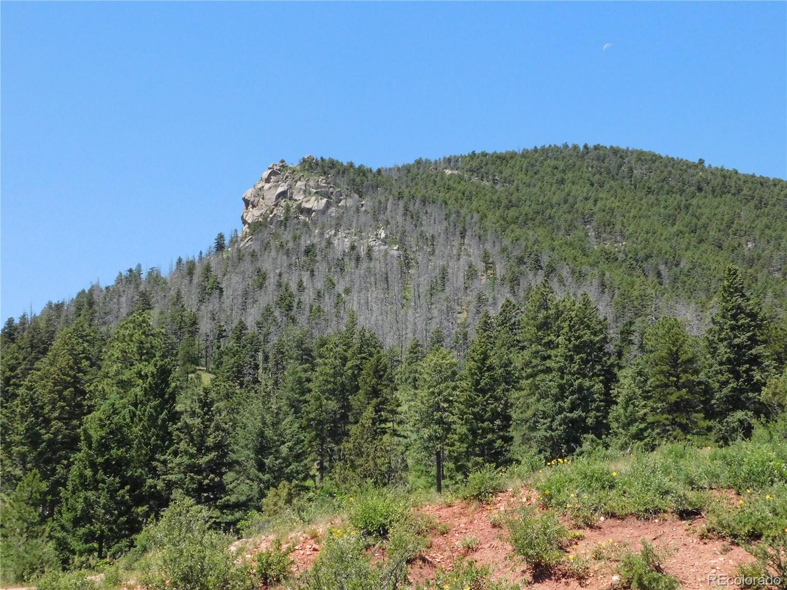 5900 Pawnee Road Larkspur, CO 80118 - Photo 23 of 45 a view of a large building