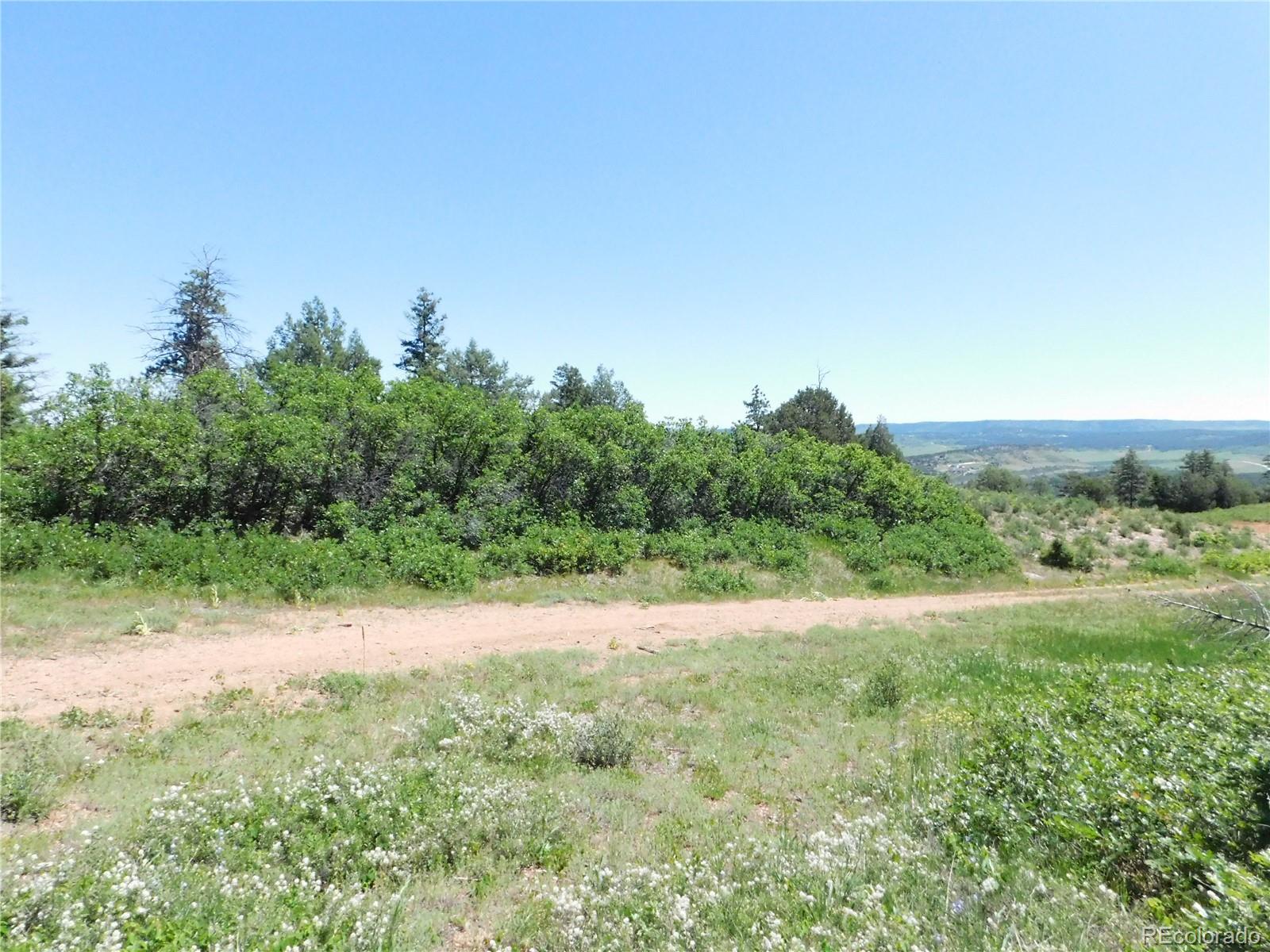 5900 Pawnee Road Larkspur, CO 80118 - Photo 25 of 45 a view of dirt field with trees