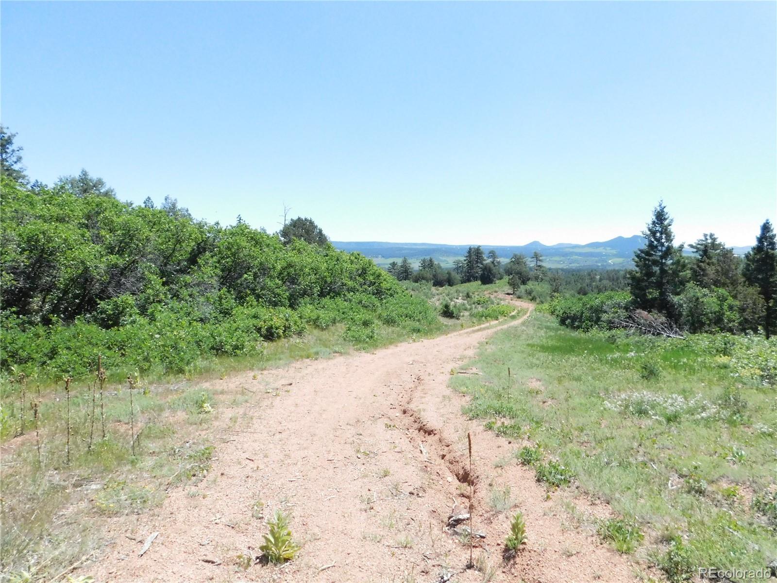 5900 Pawnee Road Larkspur, CO 80118 - Photo 26 of 45 a view of a dry yard with trees in the background