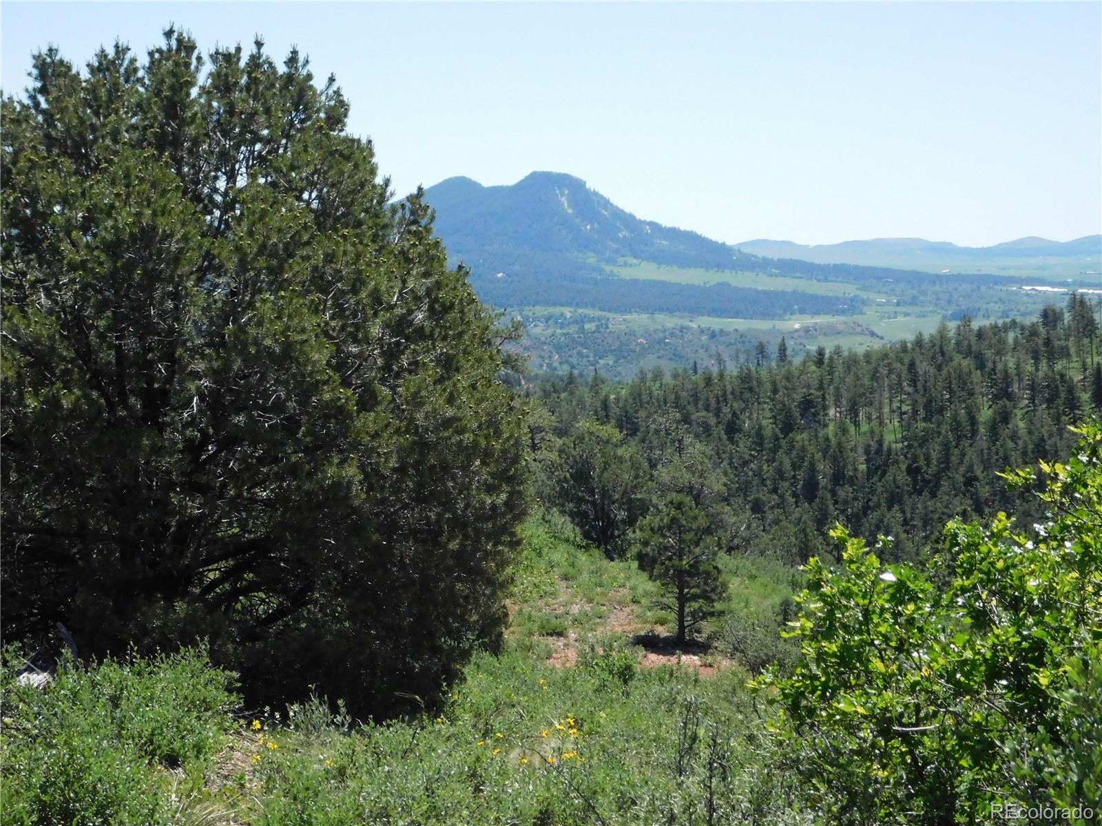 5900 Pawnee Road Larkspur, CO 80118 - Photo 29 of 45 a view of a lush green field with lots of bushes