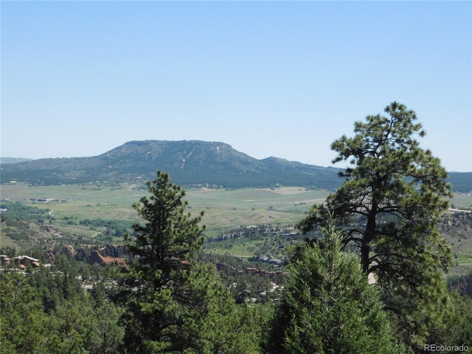 5900 Pawnee Road Larkspur, CO 80118 - Photo 3 of 45 a view of a lush green field with a tree in the background