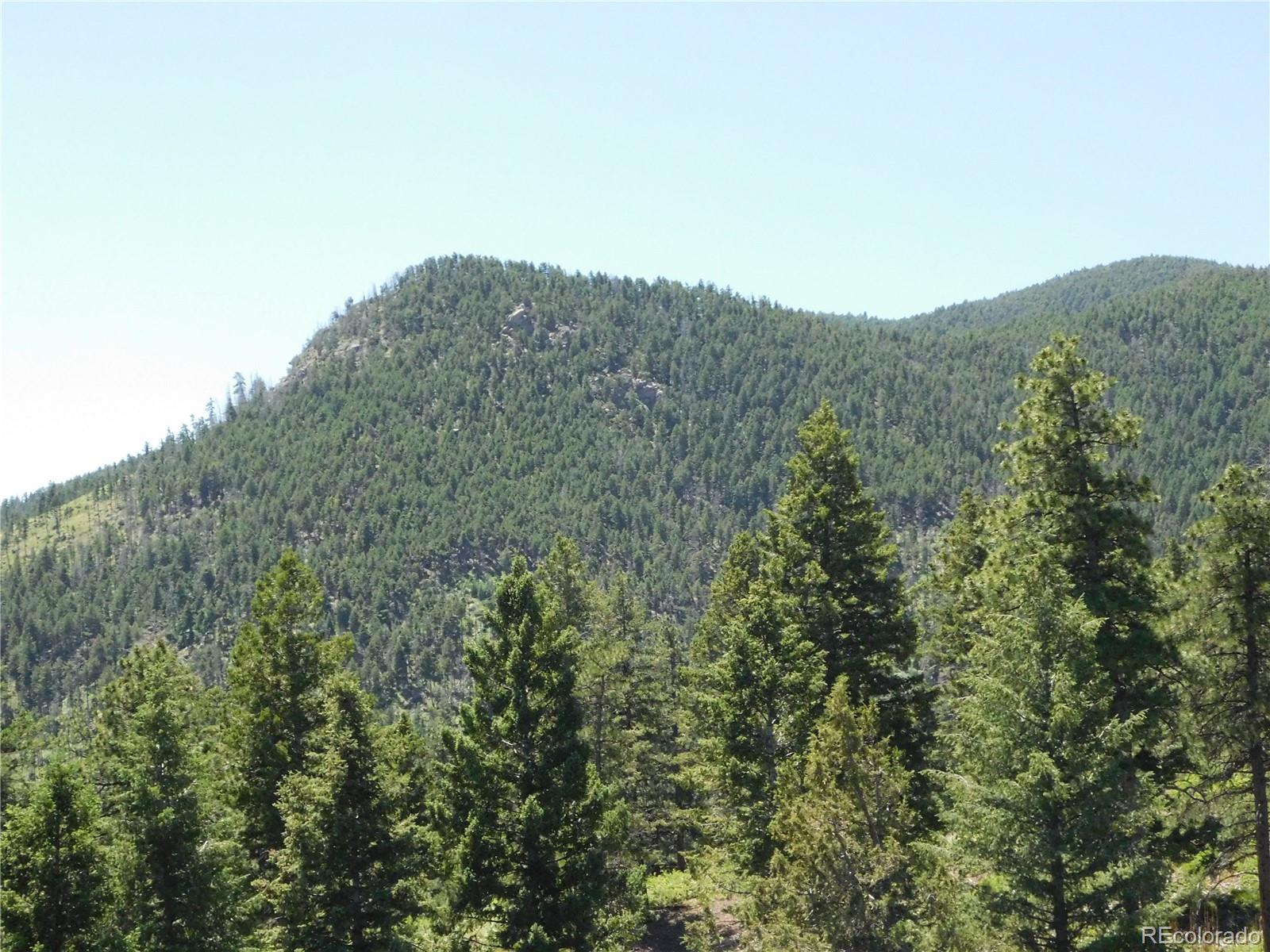 5900 Pawnee Road Larkspur, CO 80118 - Photo 34 of 45 a view of a mountain range with trees in the background