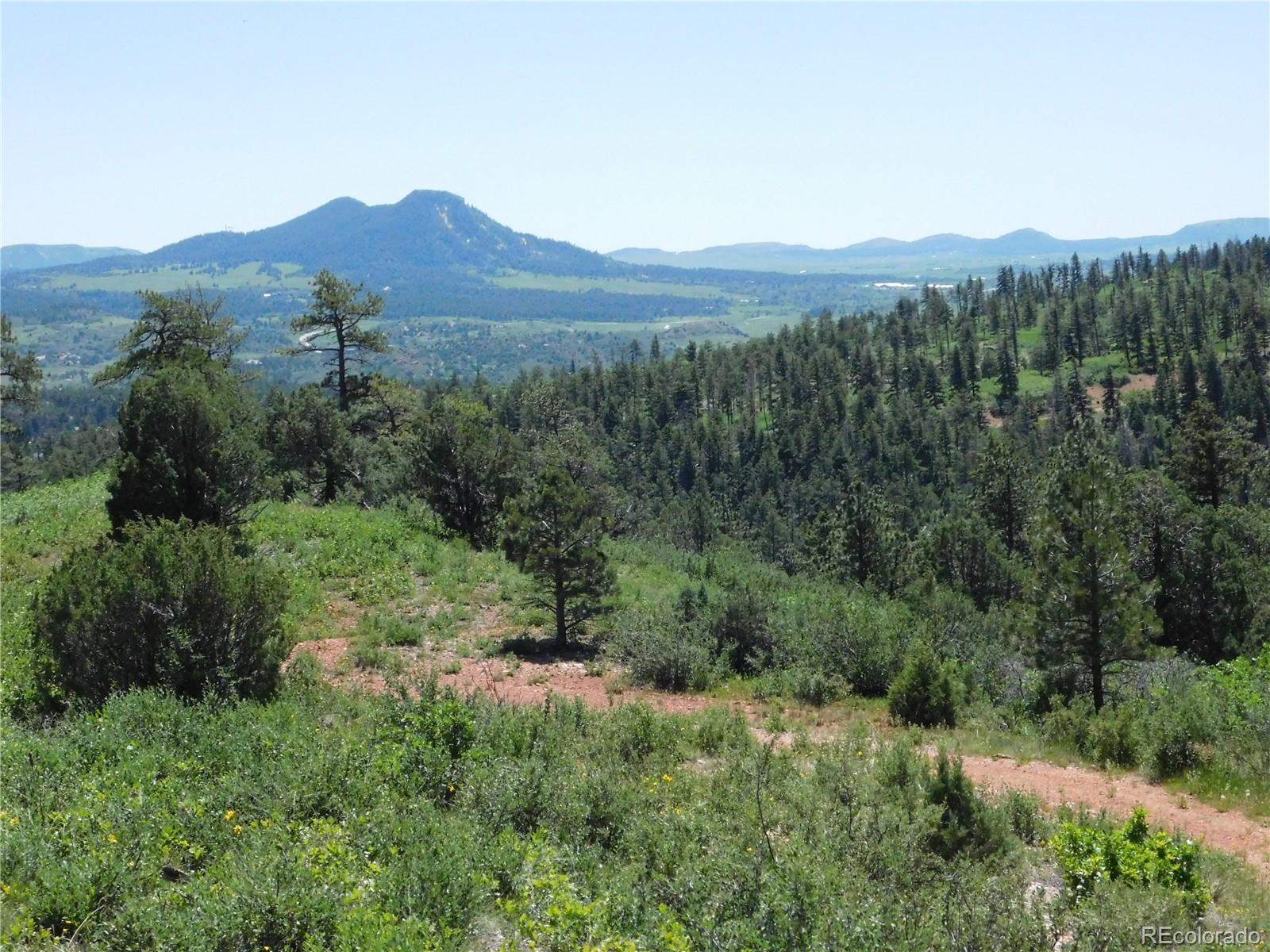 5900 Pawnee Road Larkspur, CO 80118 - Photo 38 of 45 a view of a mountain range with lush green forest