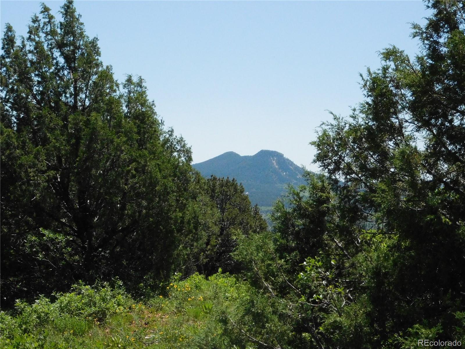 5900 Pawnee Road Larkspur, CO 80118 - Photo 4 of 45 a view of a house in a forest