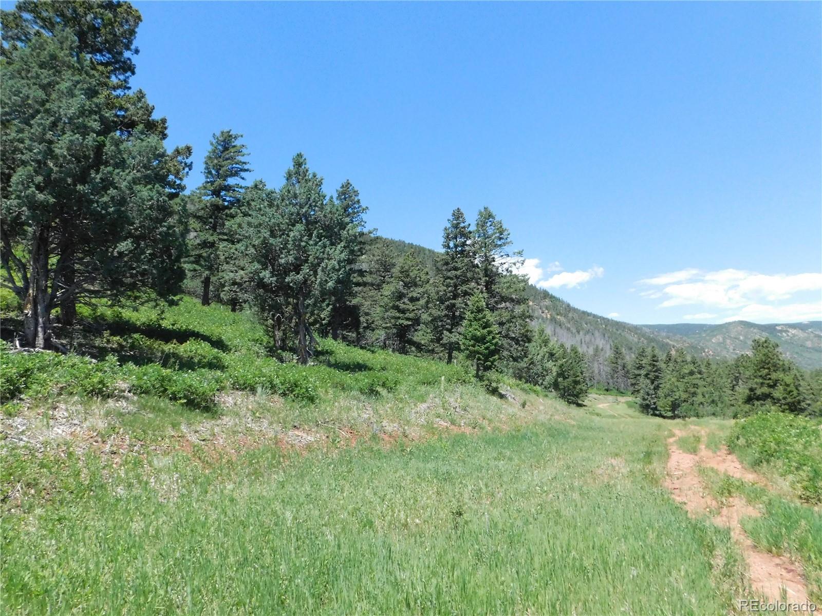 5900 Pawnee Road Larkspur, CO 80118 - Photo 43 of 45 a view of a lush green space with sea