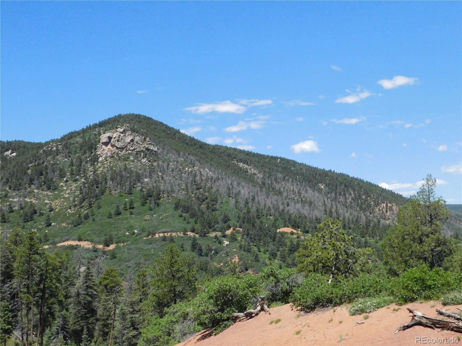 5900 Pawnee Road Larkspur, CO 80118 - Photo 45 of 45 a view of a green field
