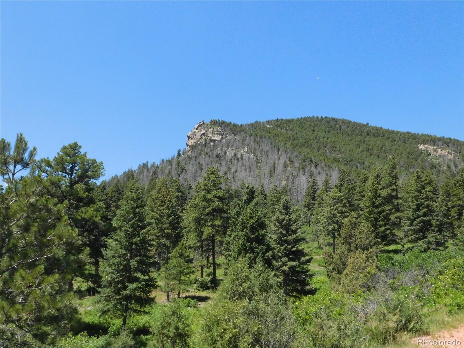 5900 Pawnee Road Larkspur, CO 80118 - Photo 6 of 45 a view of a large mountain with a tree in the background