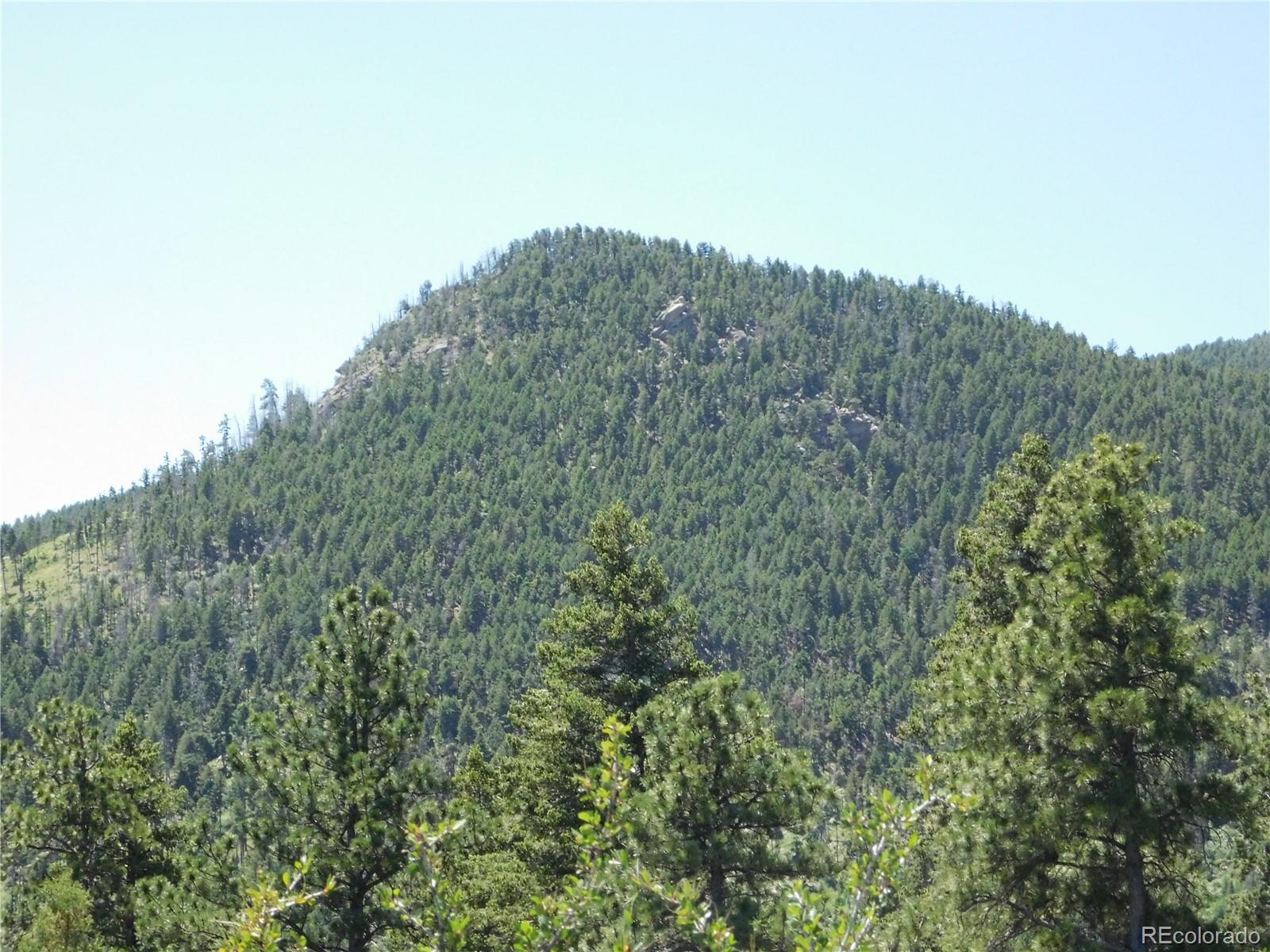 5900 Pawnee Road Larkspur, CO 80118 - Photo 10 of 45 a view of a mountain in the distance in a field