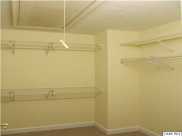 4 Slice Road Palmyra, VA 22963 - Photo 14 of 25 Walk in closet with custom shelving & pull down stairs to attic storage area.