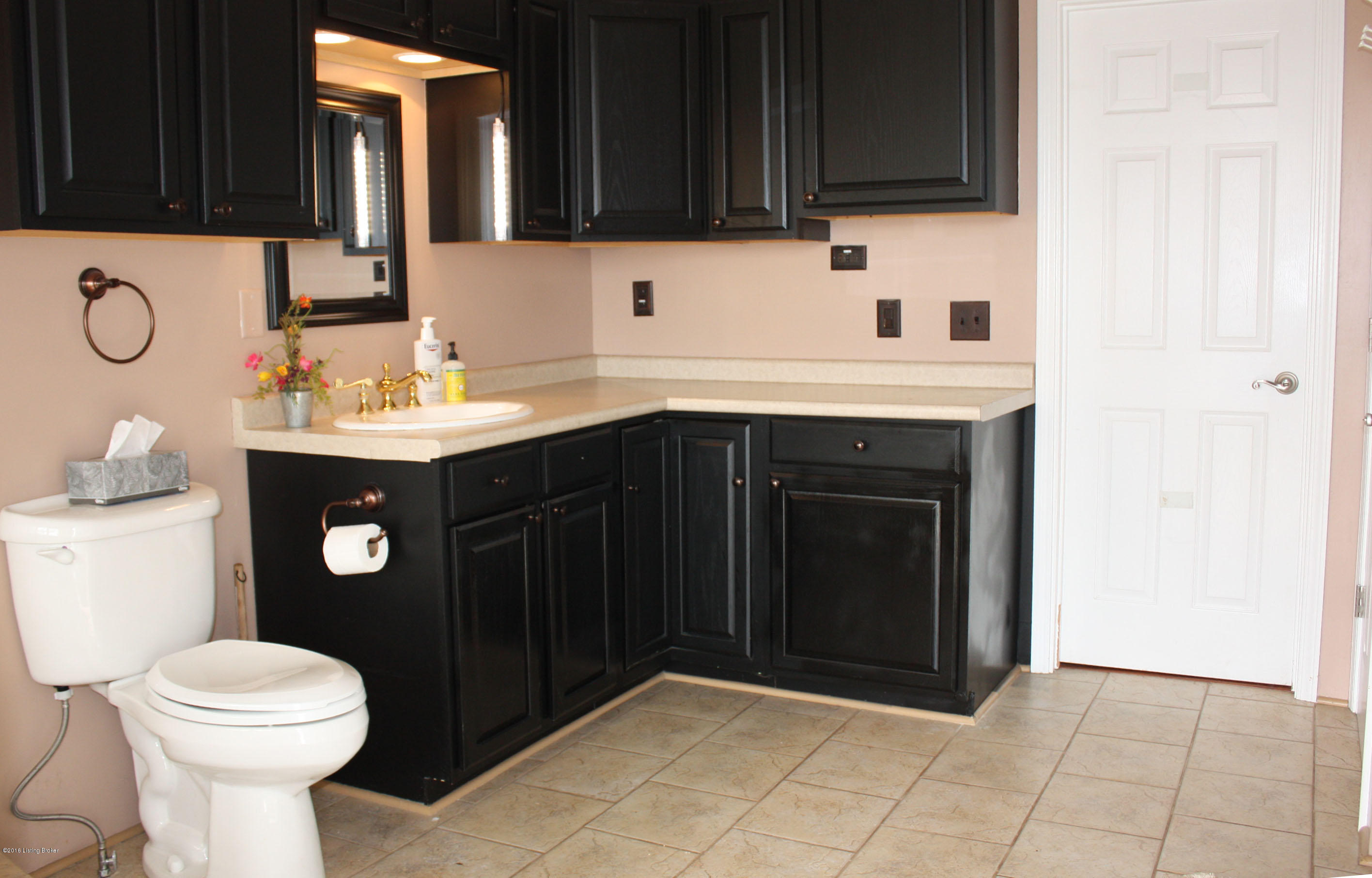 892 Rineyville School Road Rineyville, KY 40162 - Photo 8 of 16 master bathroom cabinets