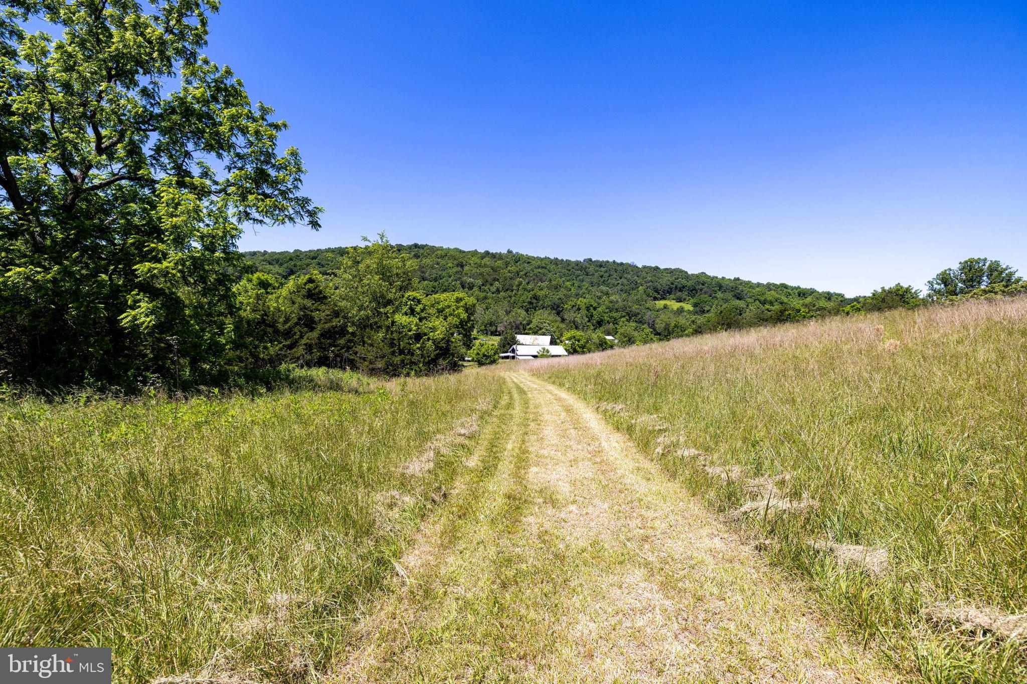 3259 Ida Road Luray, VA 22835 - Photo 125 of 139