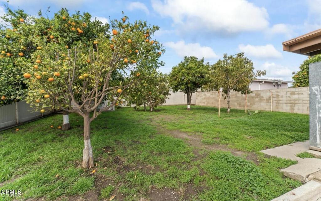 269 Sheppard Road, Unit 1 Santa Paula, CA 93060 - Photo 13 of 13 Gallery Image 13