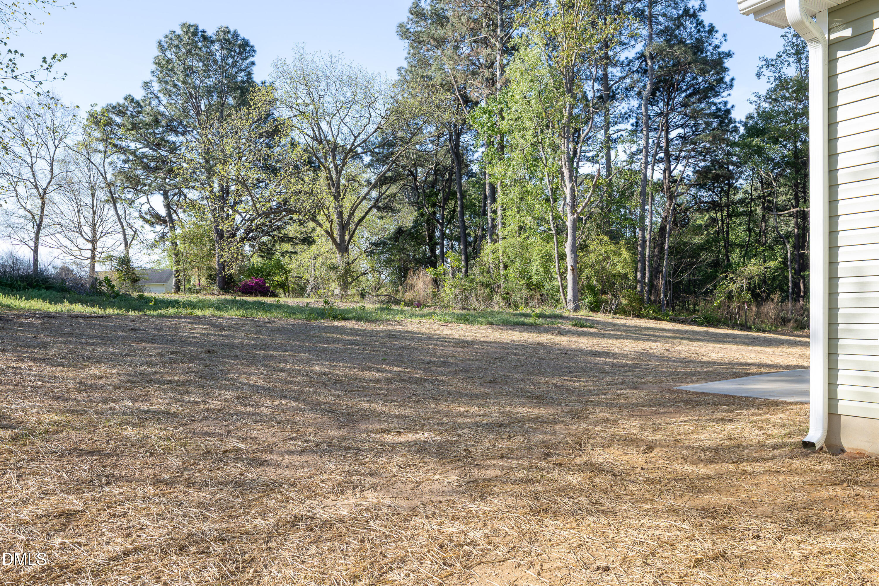179 West Hamer Street Coats, NC 27521 - Photo 23 of 26 a view of outdoor space with trees