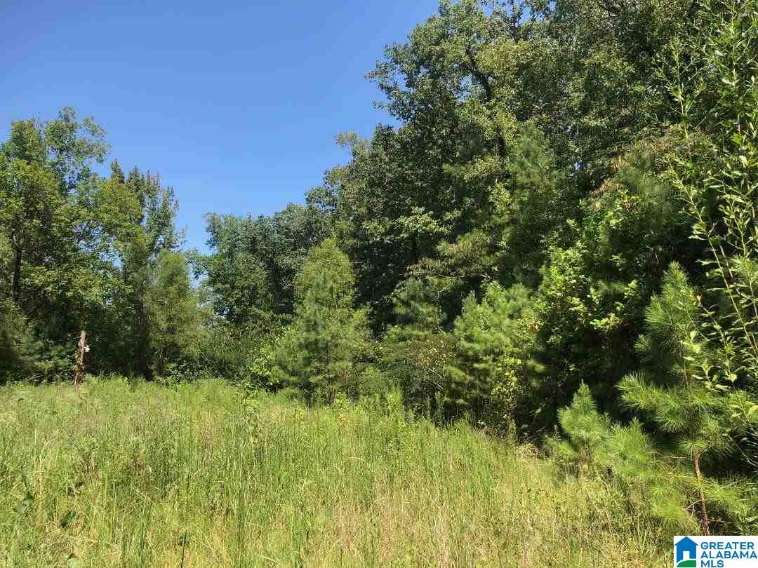 396 Mimosa Road, Unit 9 25 ACRES Leeds, AL 35094 - Photo 1 of 6