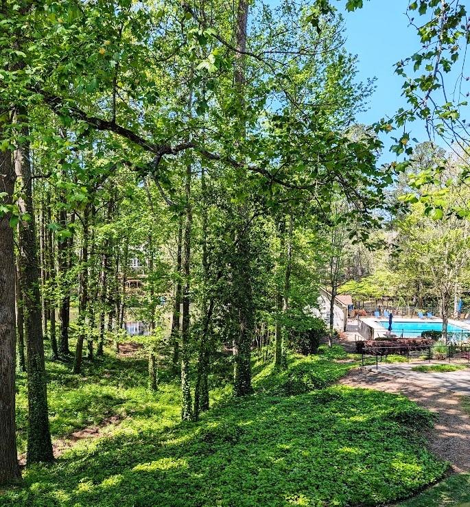 3650 Ashford Dunwoody Road Northeast, Unit 918 Atlanta, GA 30319 - Photo 2 of 17 a view of a park with large trees