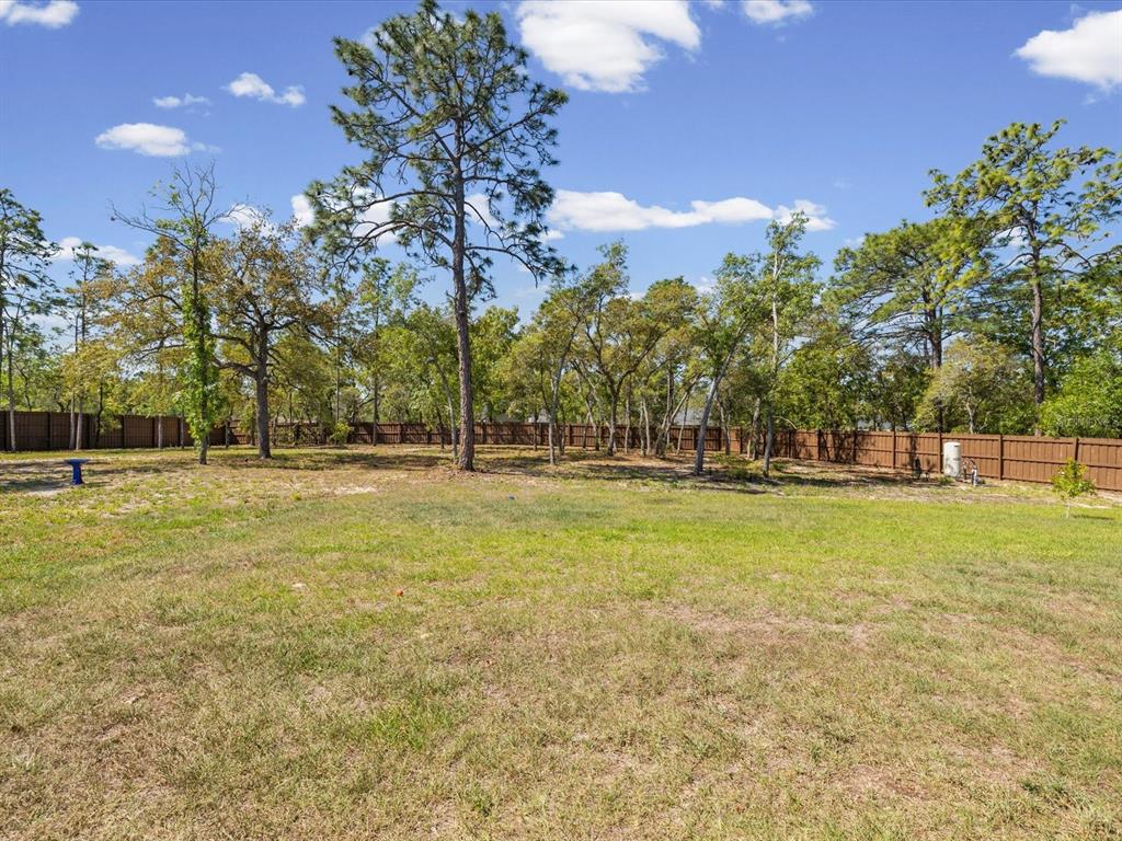 11981 Robina Road Weeki Wachee, FL 34614 - Photo 55 of 93 a view of swimming pool with trees