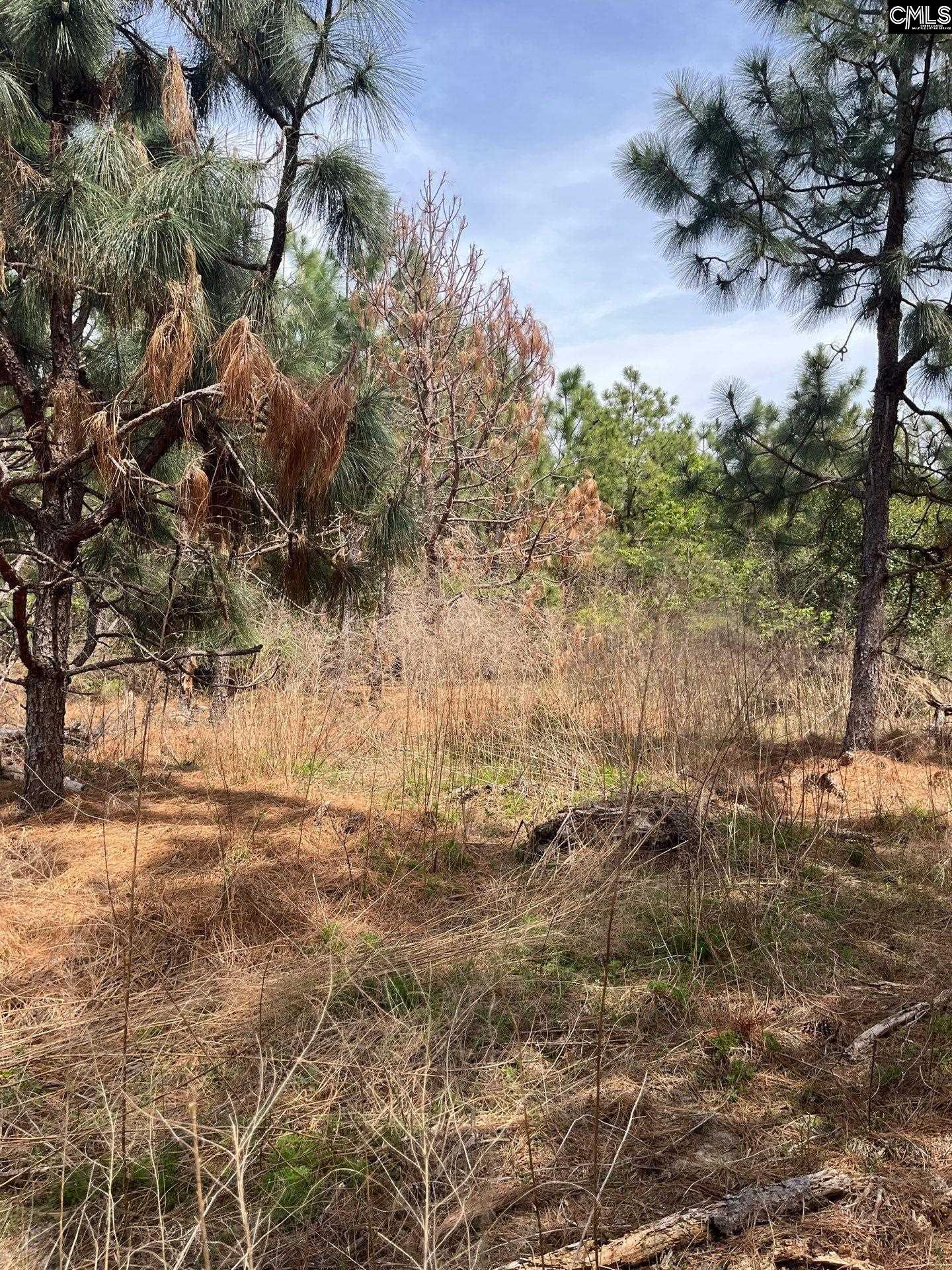 5 Beaver Dam Road Cassatt, SC 29032 - Photo 3 of 17