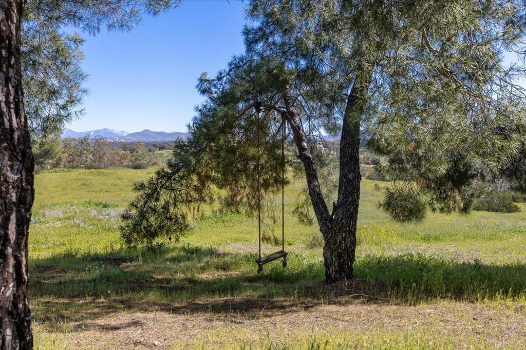 40707 Intrepid Road Hemet, CA 92544 - Photo 35 of 71 a view of a yard with a tree