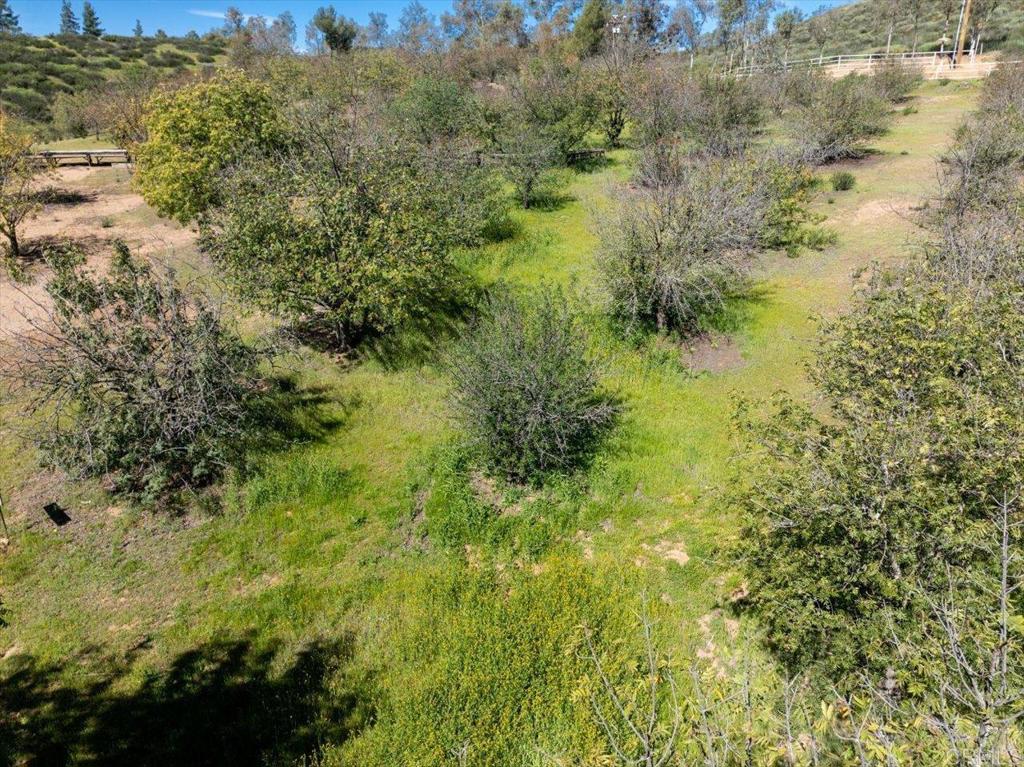 40707 Intrepid Road Hemet, CA 92544 - Photo 64 of 71 a view of a yard