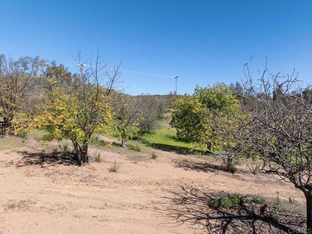40707 Intrepid Road Hemet, CA 92544 - Photo 65 of 71 a view of a road with a yard