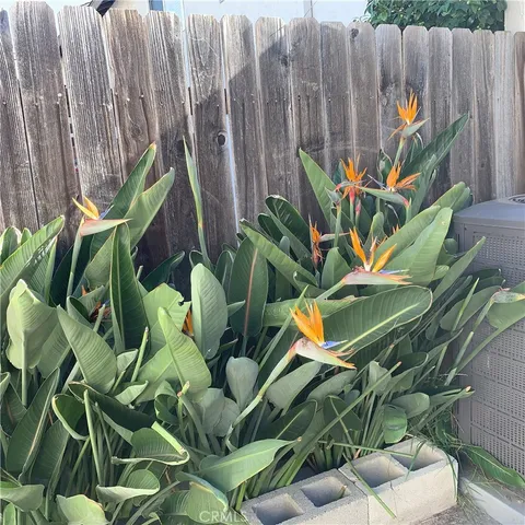 $3,300 | 21812 Stonepine Drive, Diamond Bar, CA 91765