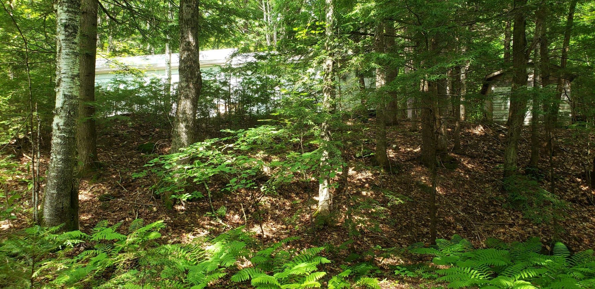 Map55-lot42 Rolfe Road Harrison, ME 04040 - Photo 22 of 25 67794859_340630516879024_120828395087986