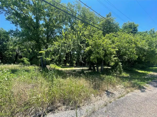 a view of a lush green forest
