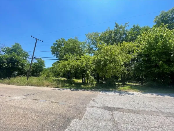 a view of a yard with plants and trees