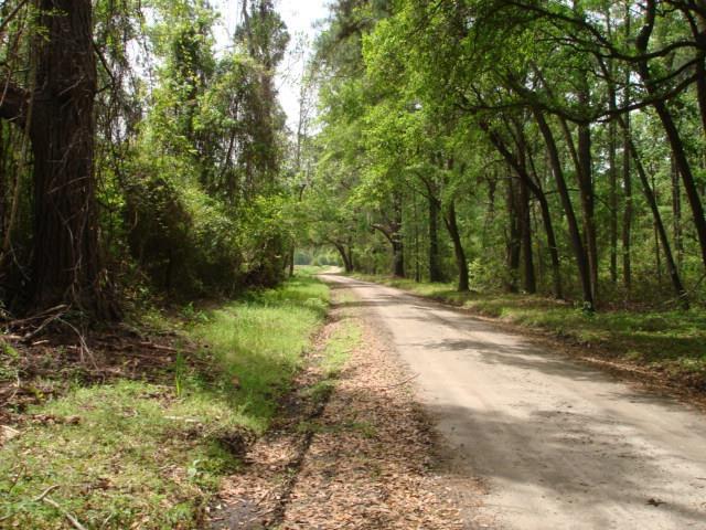 52 Chisolm Plantation Road Edisto Island, SC 29438 - Photo 1 of 3 052 Chisolm Plantation Rd Lot 3 (1)