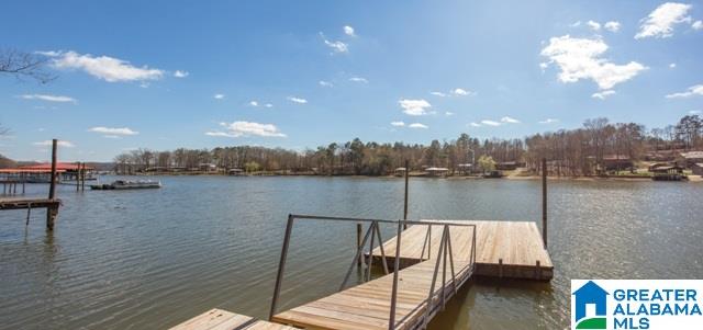 446 Coosa Island Road Cropwell, AL 35054 - Photo 3 of 44