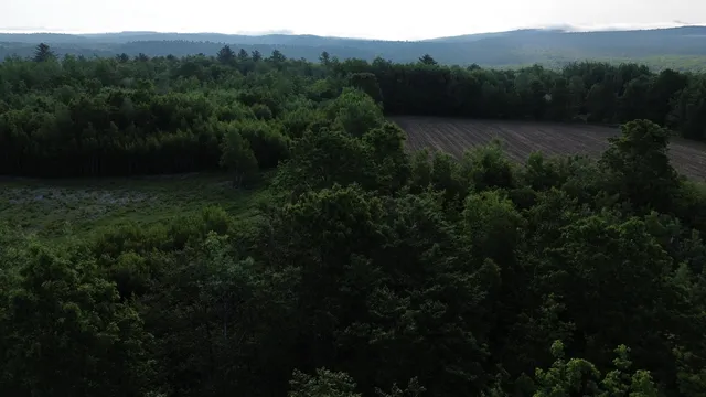 $249,000 | M5-l28-5 Moosehead Trail Highway, Jackson, ME 04921