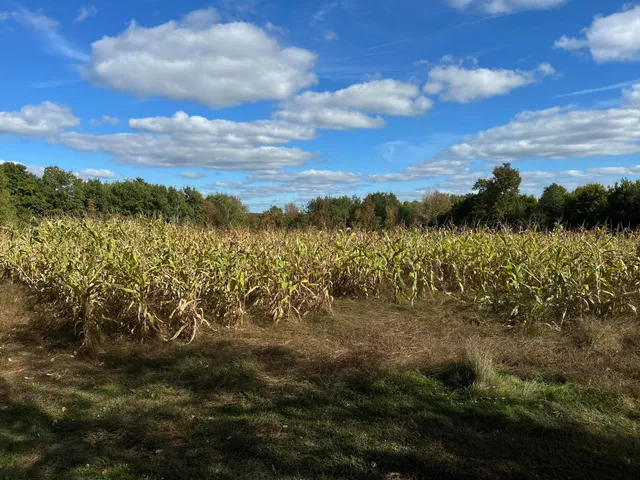 $249,000 | M5-l28-5 Moosehead Trail Highway, Jackson, ME 04921