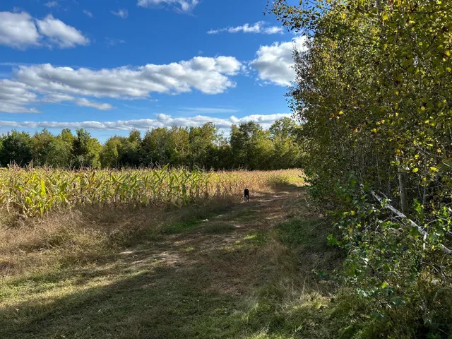 $249,000 | M5-l28-5 Moosehead Trail Highway, Jackson, ME 04921