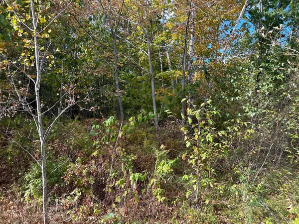 $249,000 | M5-l28-5 Moosehead Trail Highway, Jackson, ME 04921