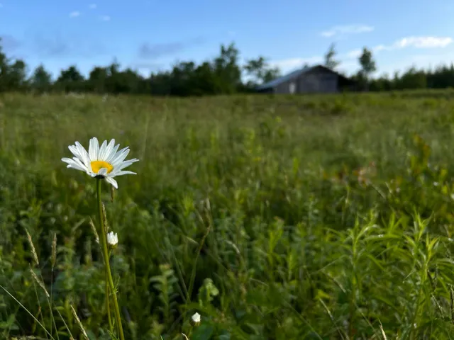 $249,000 | M5-l28-5 Moosehead Trail Highway, Jackson, ME 04921