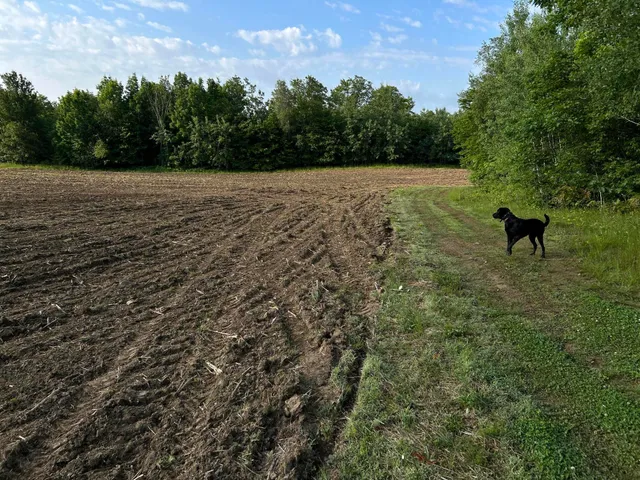 $249,000 | M5-l28-5 Moosehead Trail Highway, Jackson, ME 04921